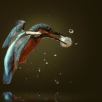 Beautiful kingfisher catching a fish, cinematic lighting --beta --ar 2:3 --upbeta