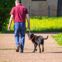 Man walking with a dog
